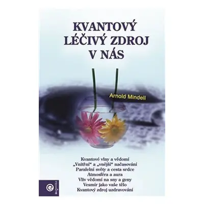 Kvantový léčivý zdroj v nás - Arnold Mindell