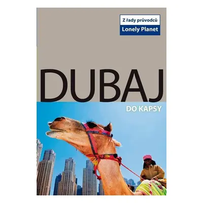 Dubaj do kapsy - Lonely Planet, 1. vydání - Olivia Pozzan