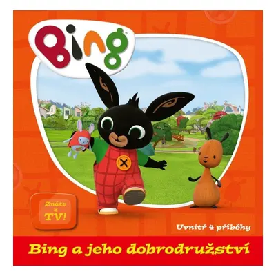 Bing a jeho dobrodružství - kolektiv autorů