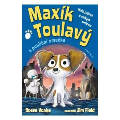 Maxík Toulavý a pouliční smečka - Steve Voake