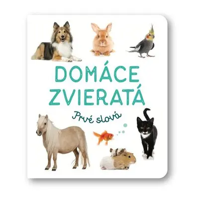 Domáce zvieratá