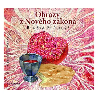 Obrazy z Nového zákona (audiokniha pro děti) - Renáta Fučíková