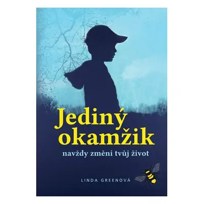 Jediný okamžik navždy změní tvůj život - Linda Green