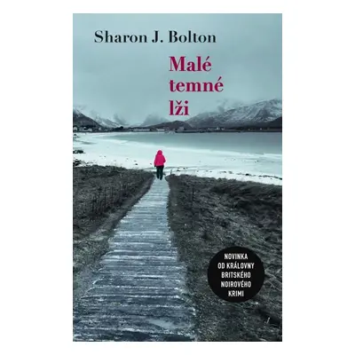 Malé temné lži - Sharon J. Bolton