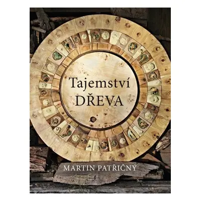 Tajemství dřeva, 1. vydání - Martin Patřičný