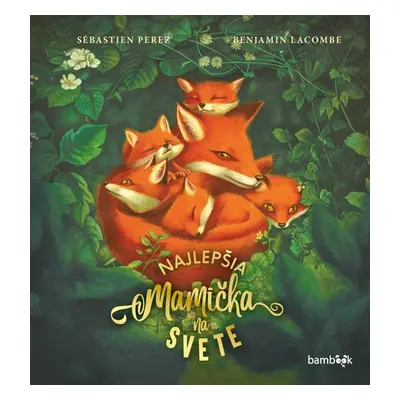 Najlepšia mamička na svete - Benjamin Lacombe; Sébastien Perez