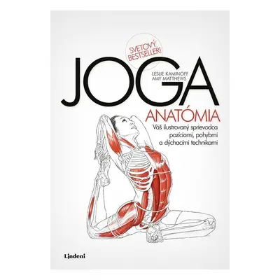 JOGA - anatómia - Leslie Kaminoff