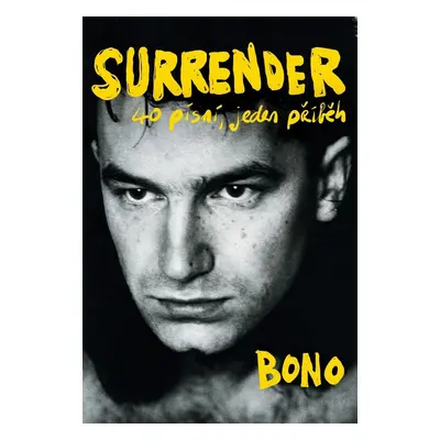 Surrender - 40 písní, jeden příběh - Bono