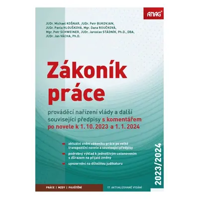 Zákoník práce, prováděcí nařízení vlády a další související předpisy s komentářem po novele k 1.