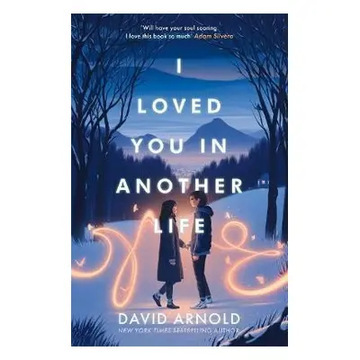 I Loved You In Another Life - David Arnold