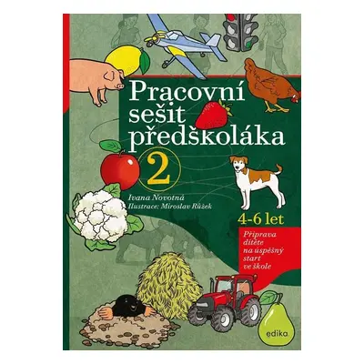 Pracovní sešit předškoláka 2, 4-6 let - Příprava dítěte na úspěšný start ve škole, 4. vydání - 