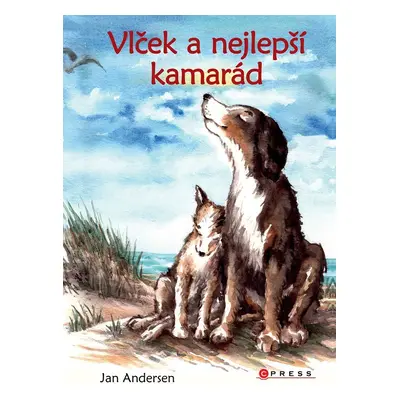 Vlček a nejlepší kamarád - Jan Andersen