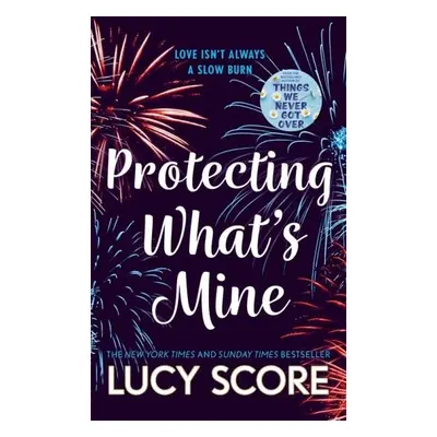 Protecting What´s Mine: the stunning small town love story from the author of Things We Never Go