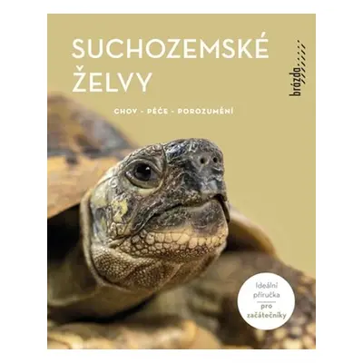 Suchozemské želvy - Chov, péče, porozumění - Manfred Rogner