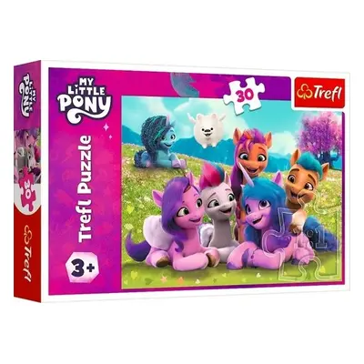 Puzzle My Little Pony: Přátelští poníci/