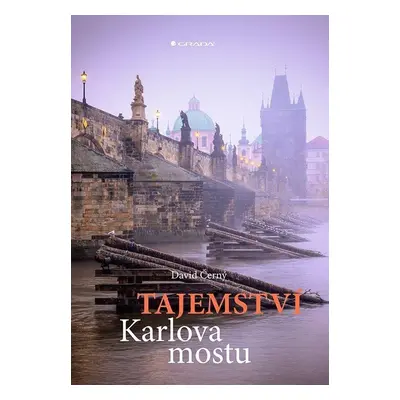 Tajemství Karlova mostu - David Černý