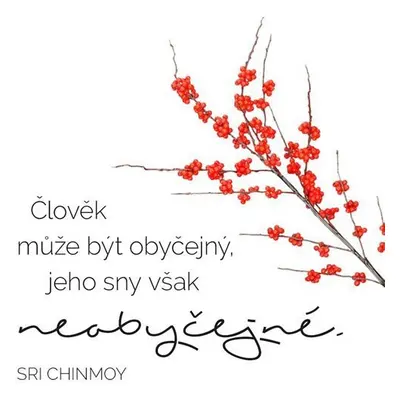 Korkový podtácek s citátem - Člověk může být obyčejný, jeho sny však neobyčejné - Sri Chinmoy