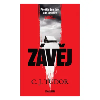 Závěj - C. J. Tudor