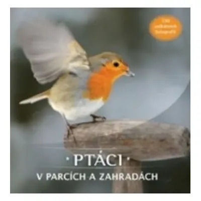 Ptáci v parcích a zahradách: 130 unikátních fotografií - Kolektiv autorú