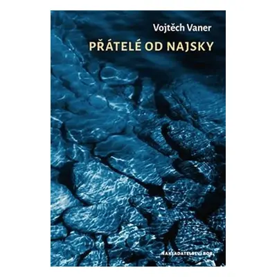 Přátelé do Najsky - Vojtěch Vaner