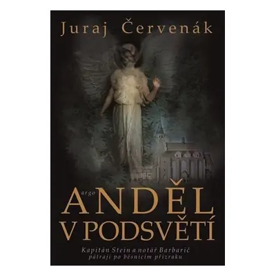 Anděl v podsvětí - Juraj Červenák