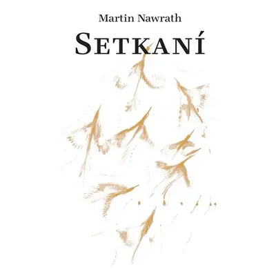 Setkaní - Martin Nawrath