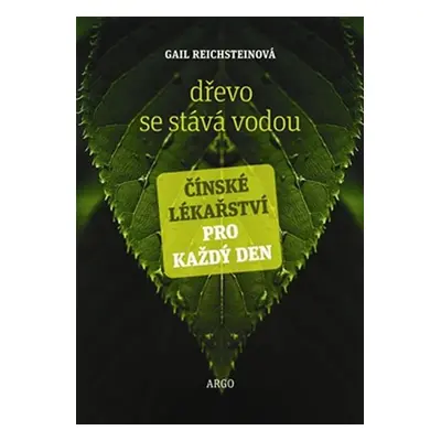 Dřevo se stává vodou - Čínské lékařství pro každý den - Gail Reichstein