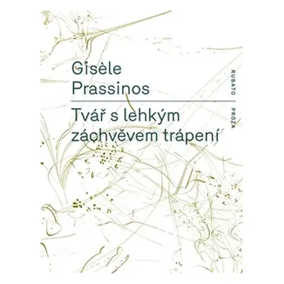 Tvář s lehkým záchvěvem trápení - Gisele Prassinos