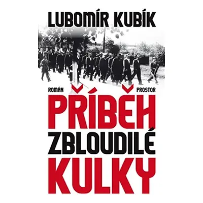 Příběh zbloudilé kulky - Lubomír Kubík