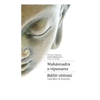 Mahámudra a vipassana - Bdělé vědomí - Tilmann Lhundrup