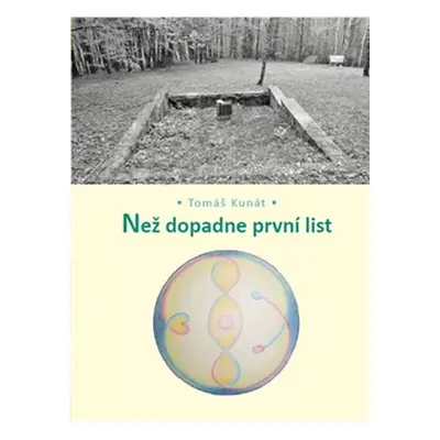 Než dopadne první list - Tomáš Kunát