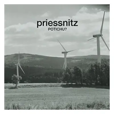 Potichu? (Skoro Unplugged) - CD - Priessnitz