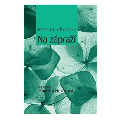 Na zápraží - Martin Zborník