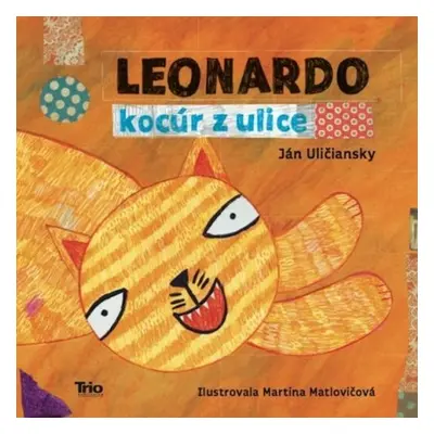 Leonardo, kocúr z ulice - Ján Uličanský