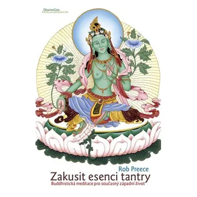 Zakusit esenci tantry - Buddhistická meditace pro současný západní život - Rob Preece