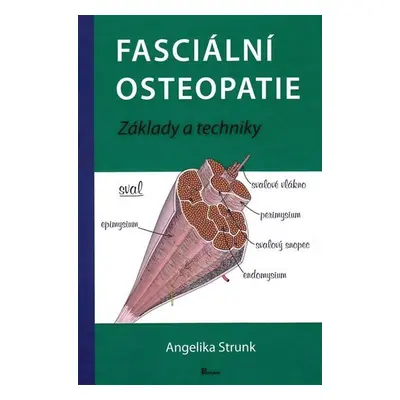 Fasciální osteopatie - Angelika Stunk