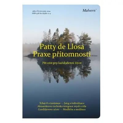 Praxe přítomnosti - Pět cest pro každodenní život - Patty de Llosa