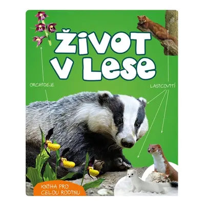 Život v lese - Wojciech Gil