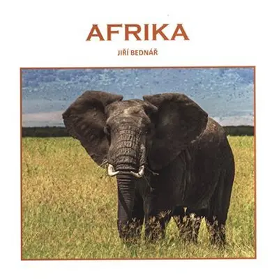 Afrika I. - Jiří Bednář