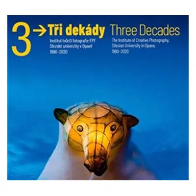 Tři dekády / Three Decades - Vladimír Birgus