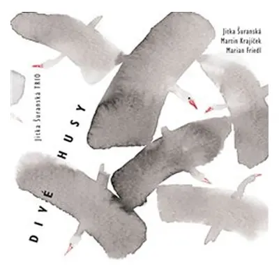 Divé husy - CD - Jitka Šuranská