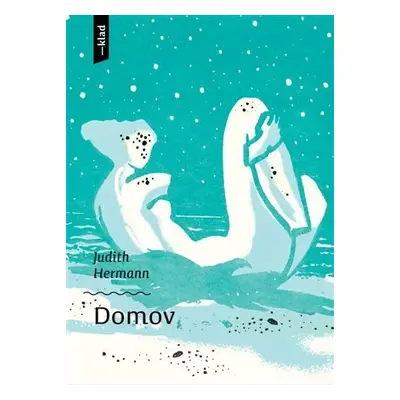 Domov - Judith Hermann