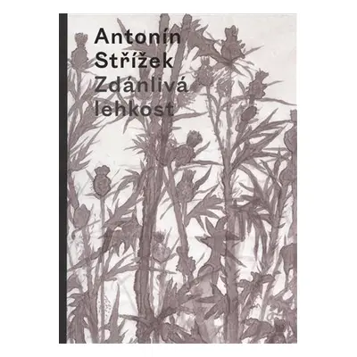 Zdánlivá lehkost - Antonín Střížek