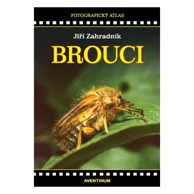 Brouci - Fotografický atlas - Jiří Zahradník