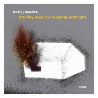 Stručný úvod do filosofie marnosti - Ondřej Galuška