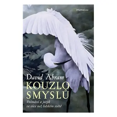 Kouzlo smyslů - Vnímání a jazyk ve více než lidském světě - David Abram