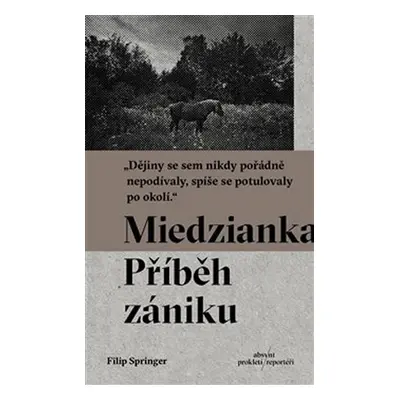 Miedzianka - Příběh zániku - Filip Springer