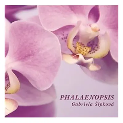 Phalaenopis - Gabriela Šípková