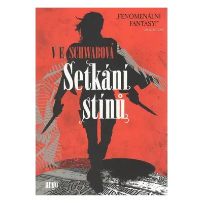 Setkání stínů - Victoria Schwab