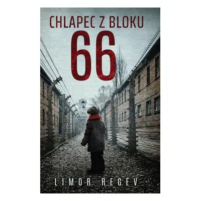 Chlapec z bloku 66 - Limor Regev